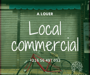 local-commercial-a-louer-lac-3-7888