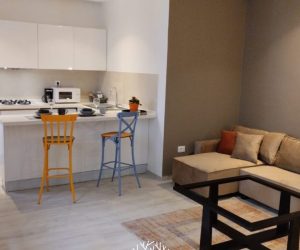 nouvelle-residence-de-qualite-appartement-s-1-meuble-a-louer-a-la-marsa-9648